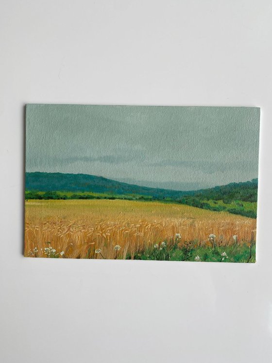 Wheat field