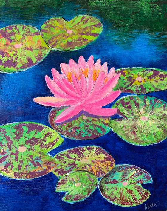 Pink water lily! Water lily pond! Textured art