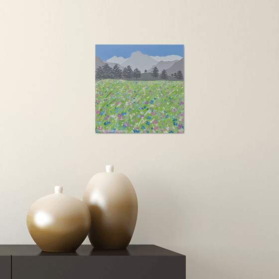 Spring Meadow, Langdale