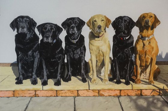 Molly,Archie,Stanley,Melvin,Maggie,and Tilly, Labrador family
