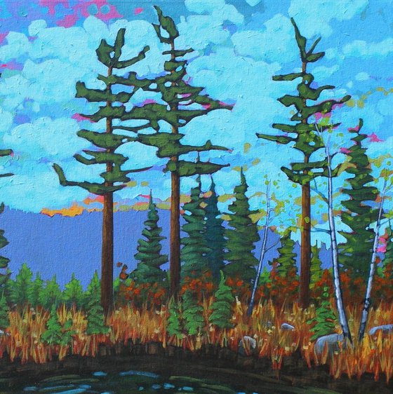 A Day in the Wilderness