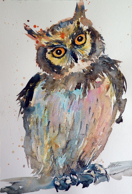 Owl III