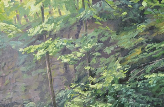 Morning Light On The Sumène