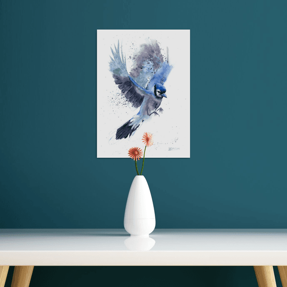 Flying Blue Jay