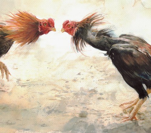 Roostes fighting by REME Jr.