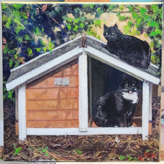 Commission Cat House
