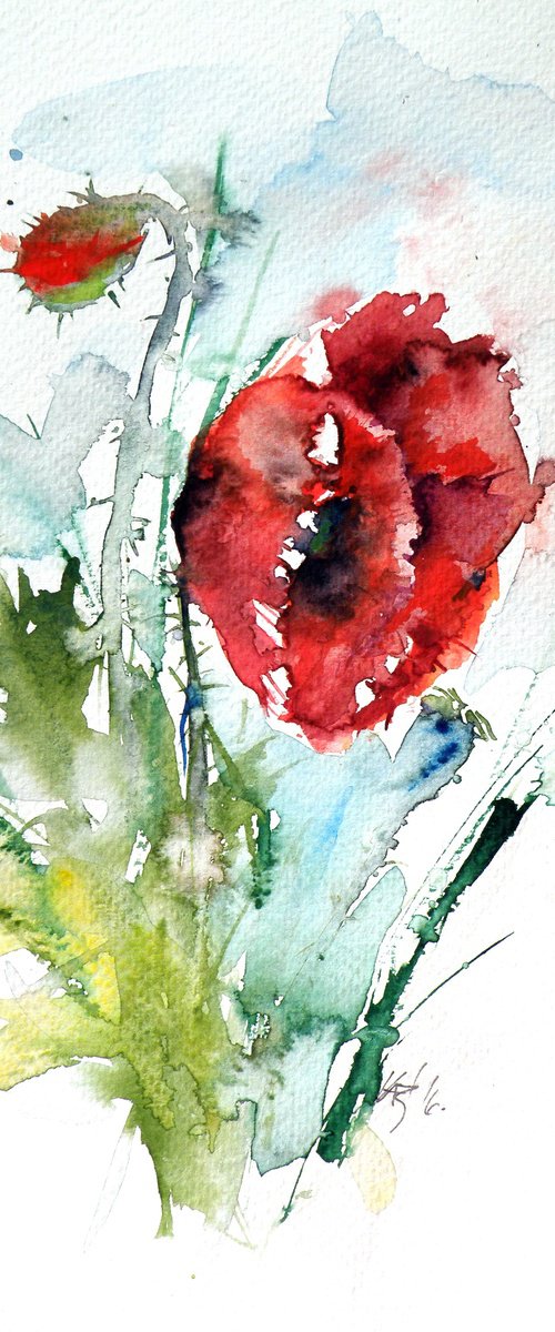 Little poppy II by Kovács Anna Brigitta