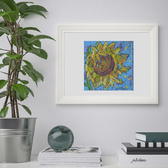 Sunflower on the blue