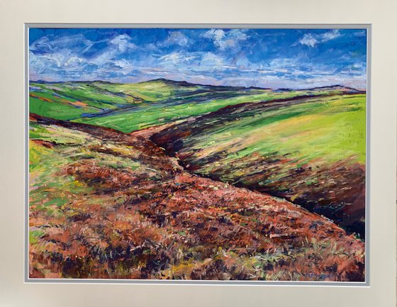 Moorland, Pateley Bridge