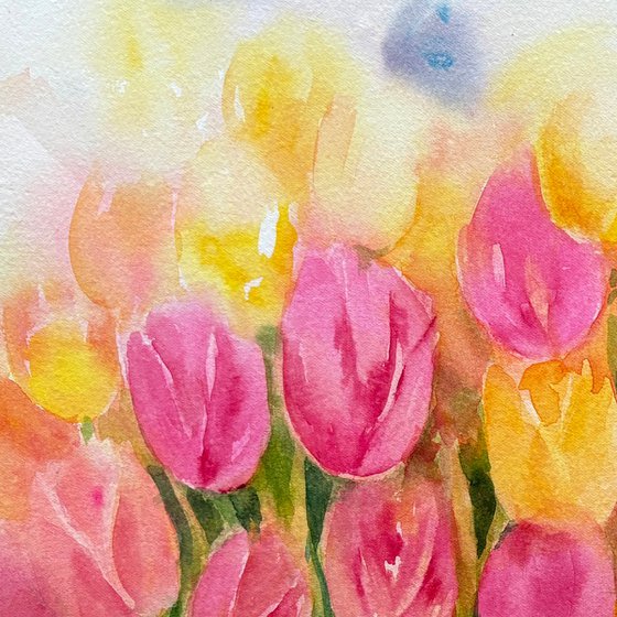 Tulip Symphony