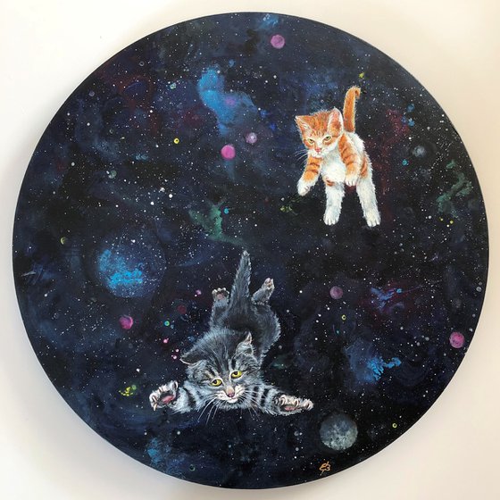 Kittens in space