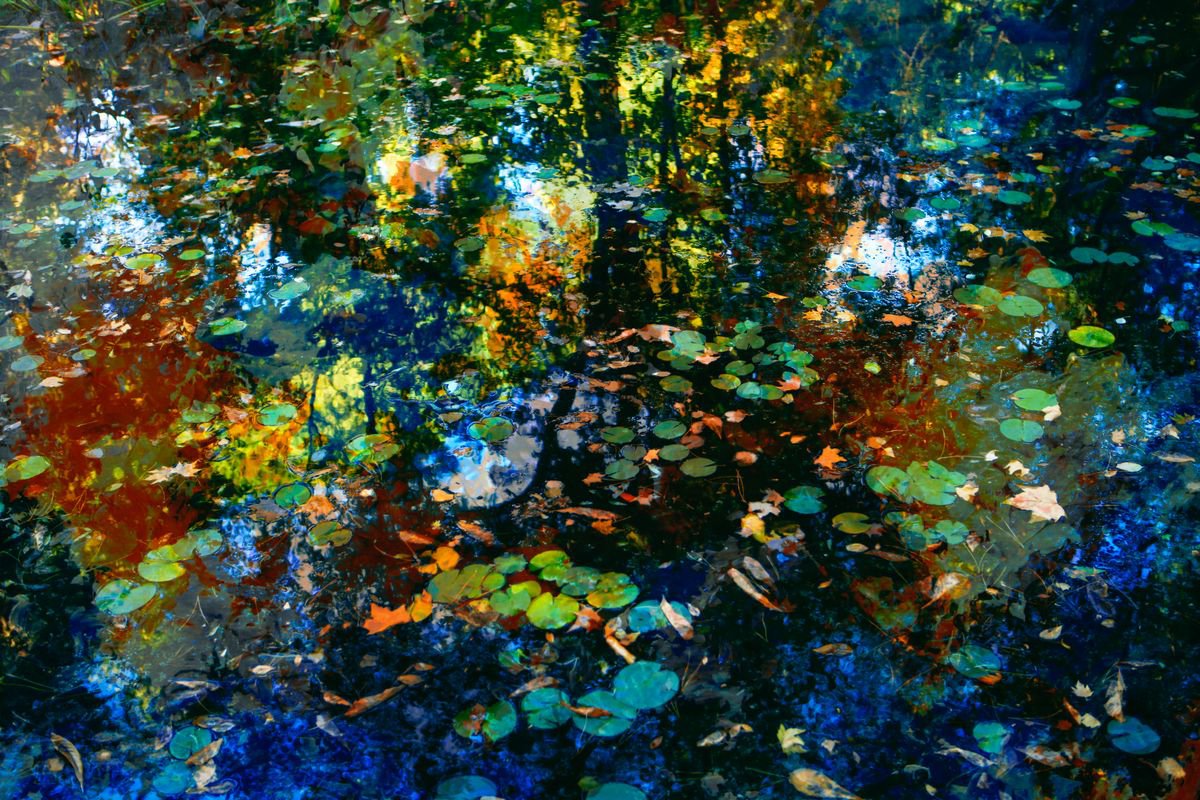 Impressionistic Botanical Photograph By Viet Ha Tran, 27 X 19", The Breath Of Autumn (Framed), Original Artwork