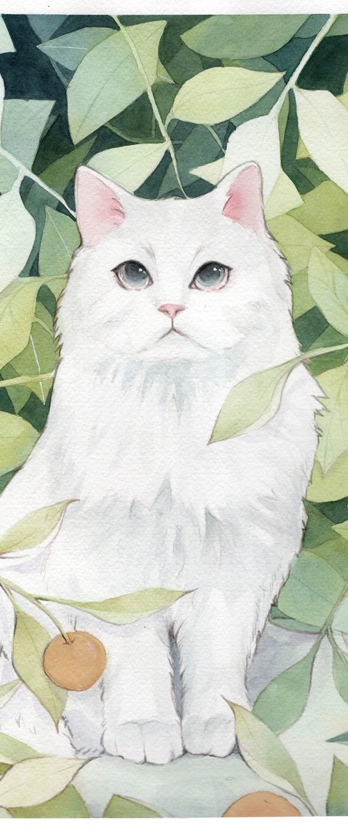 Cat in the forest by Alejandra Paredes