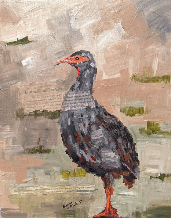 INKWARE (RED FRANCOLIN)