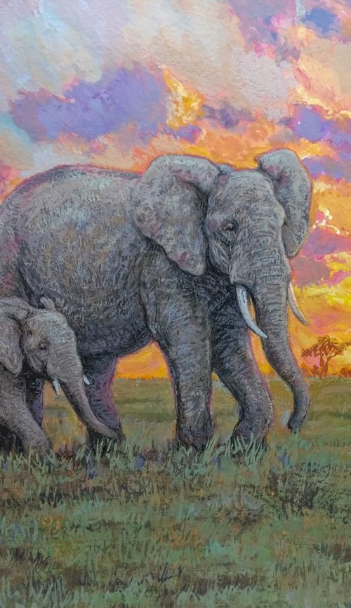 Elephants at sunset by Gabriel Hermida