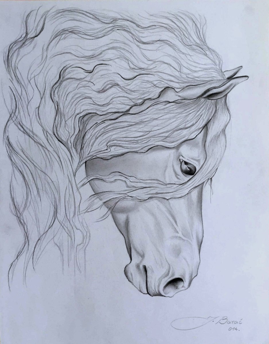 HORSE by Josip Barac