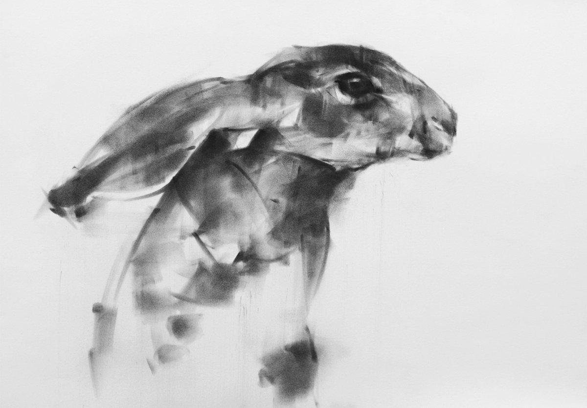 Hare by Tianyin Wang