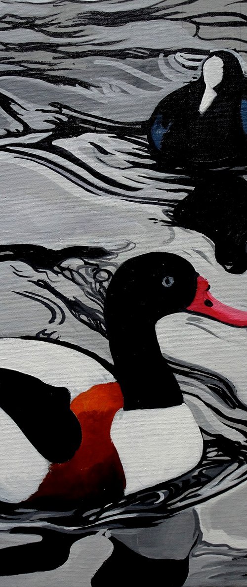 Shelduck And Coot On The Serpentine by Joseph Lynch