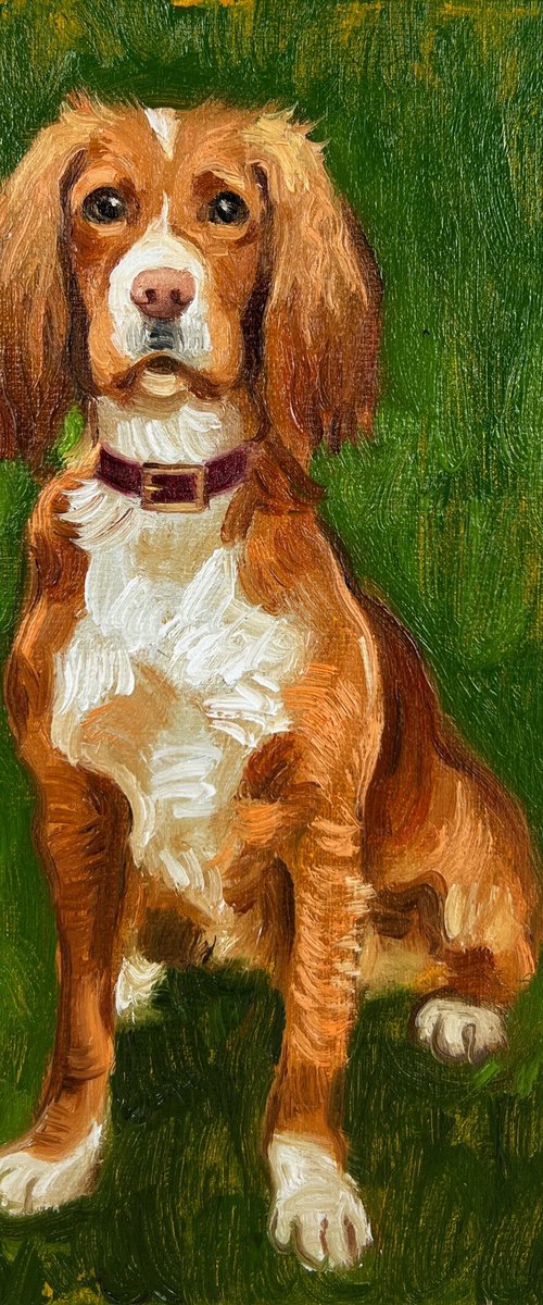 Working Cocker Spaniel by Elina Arbidane