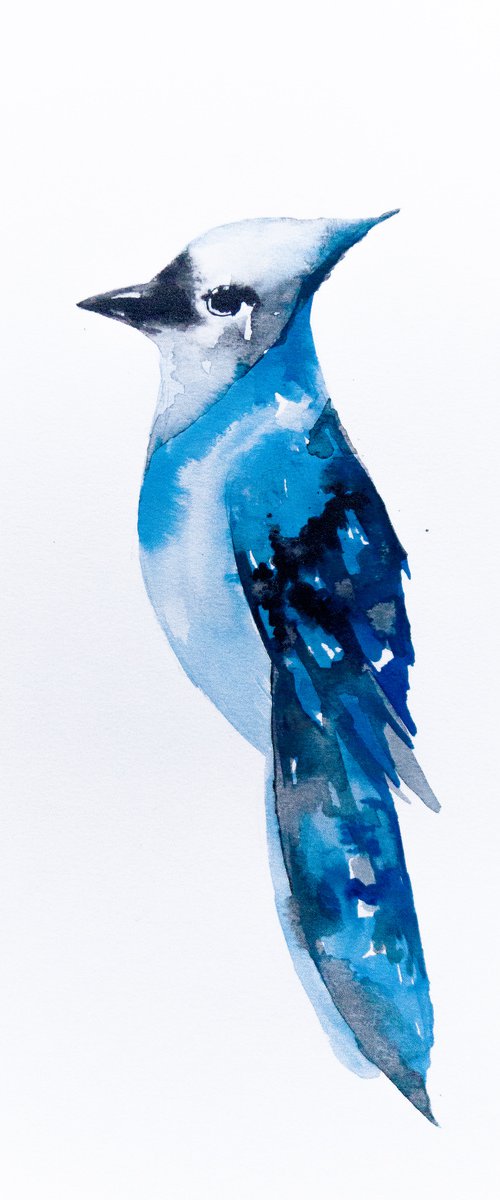Bird by Nadia Moniatis