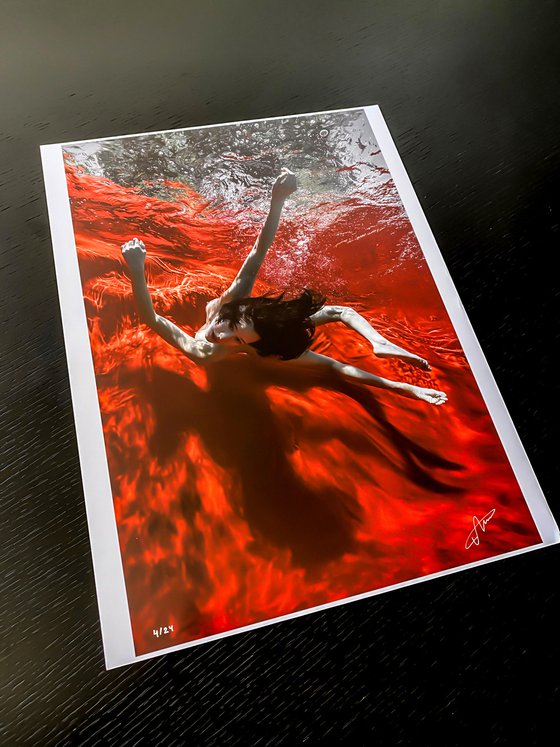 Wild Blood - underwater photograph - print on paper