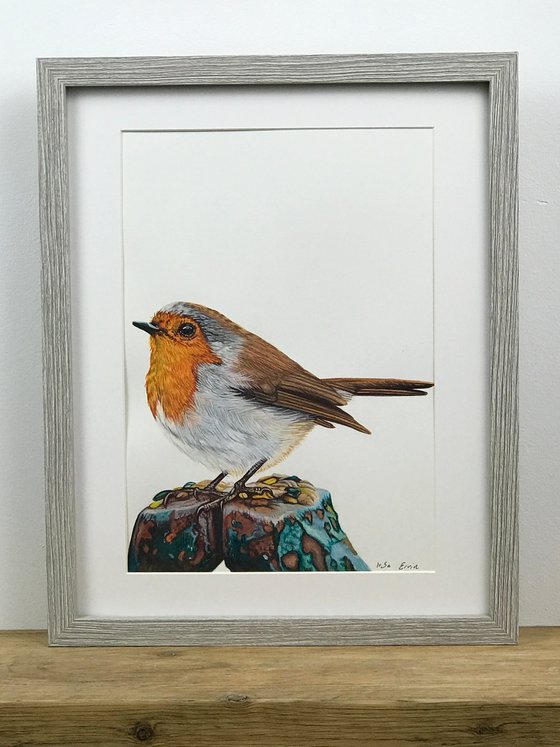 Little Robin