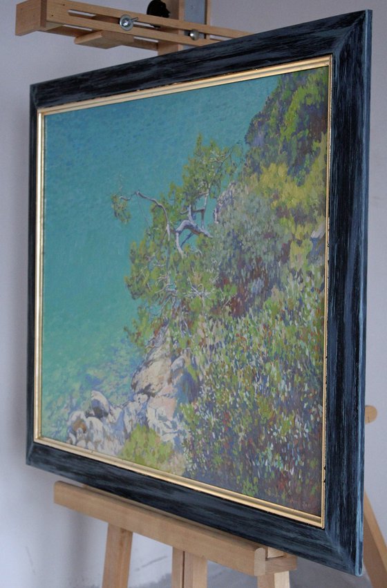 Pine in the Blue Lagoon