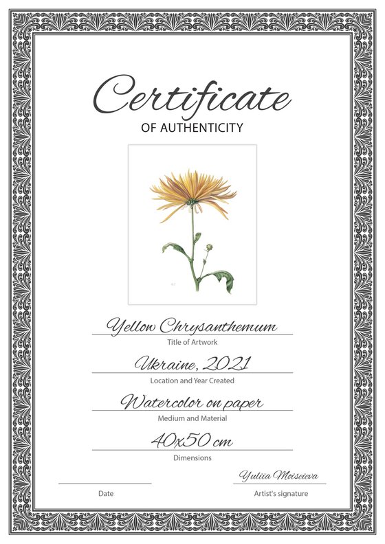 Yellow Chrysanthemum