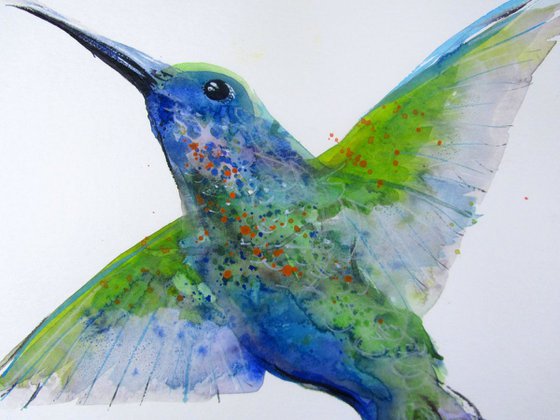 Hummingbird Violetear
