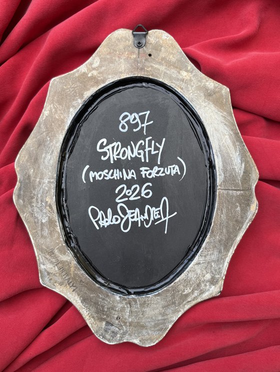 897 - STRONGFLY (Weightlifter Fly)