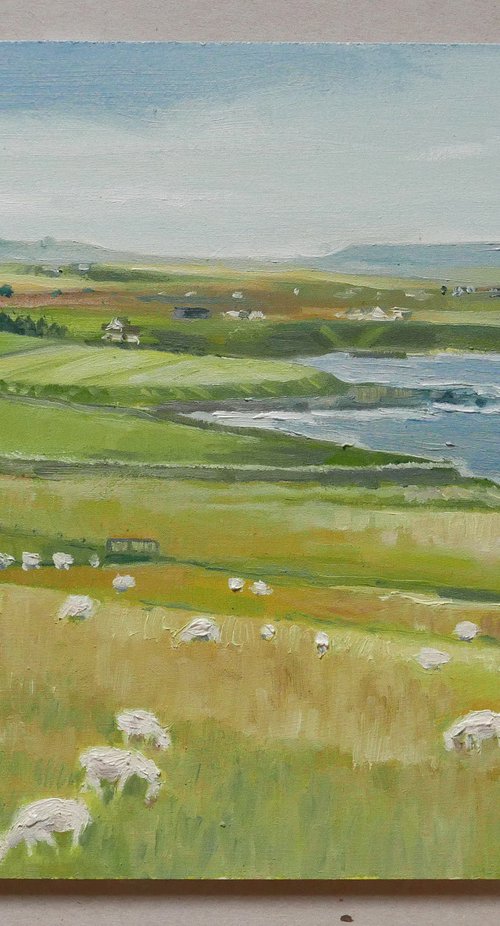 Caithness coastline by Isabel Hutchison