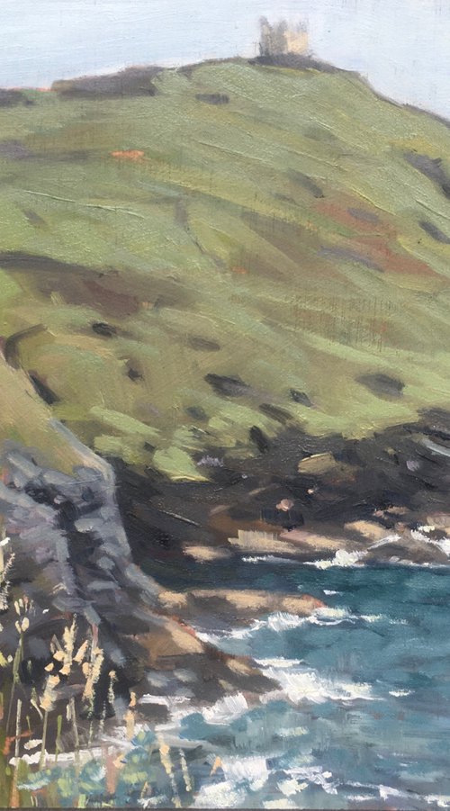 Boscastle lookout by Louise Gillard