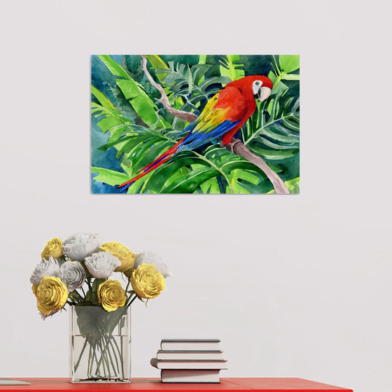 Scarlet Macaw in the Jungle