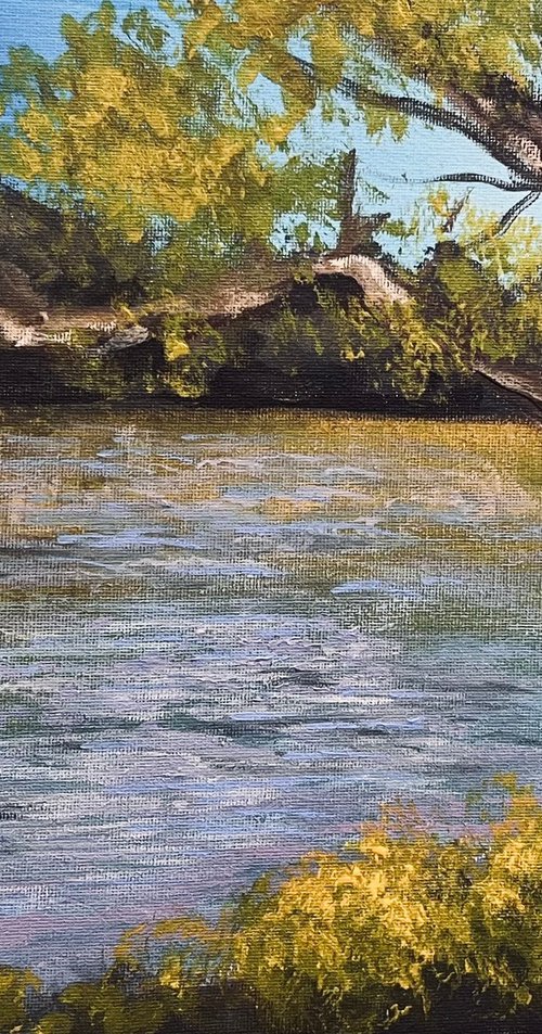 Down by the River by Carolyn Shoemaker (Soma)