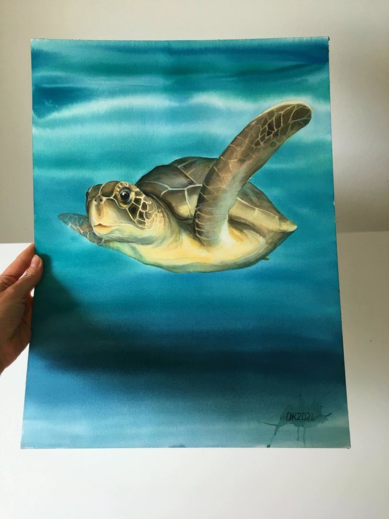 "Sea Turtle"