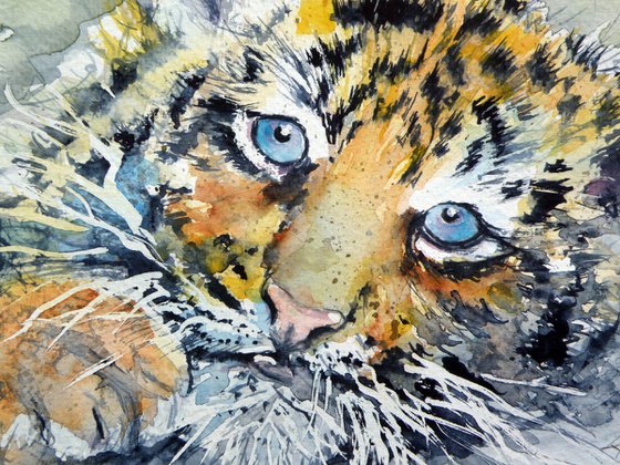 Cute tiger cub