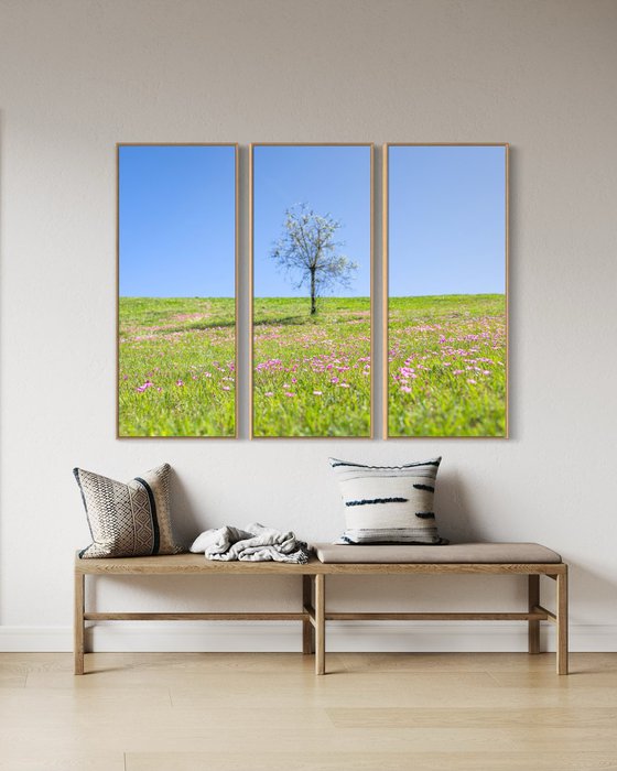 Garden View, Triptych