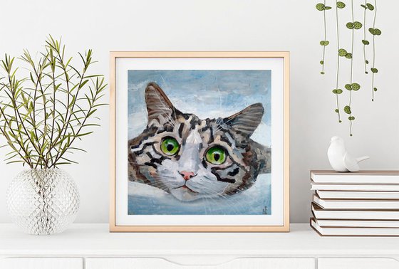 Tabby Cat