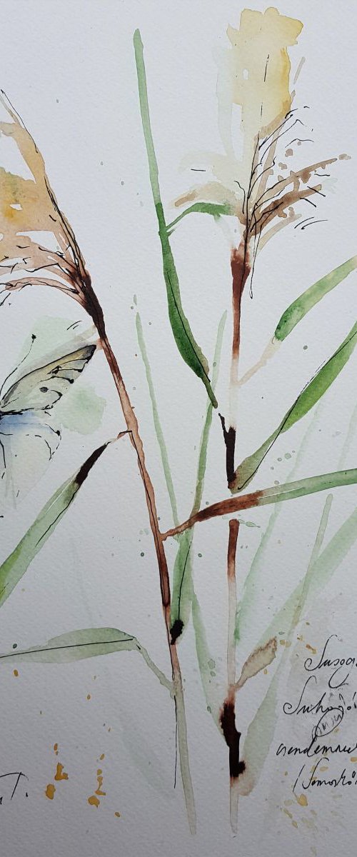Haiku with butterfly. Fragile moment by Simon Tünde