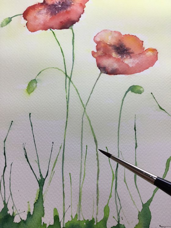 Poppies #1