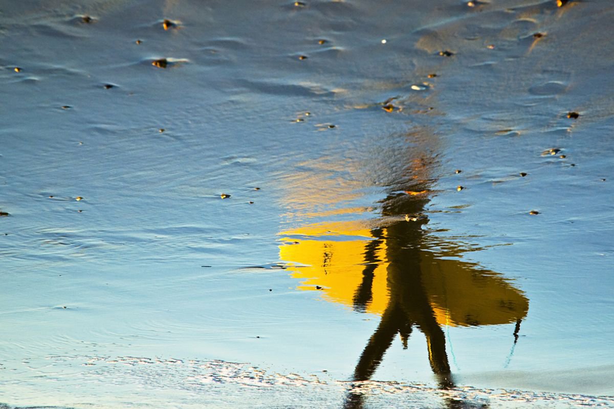 Abstract Portrait Photograph By Andrew Lever, 30 X 20, Yellow Surfer, Original Artwork