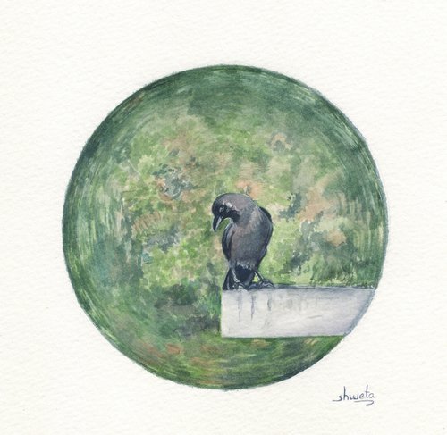 Indian Crow by Shweta  Mahajan