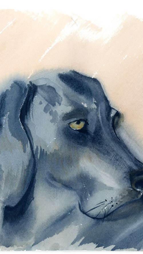 Dog's portrait by Olga Tchefranov (Shefranov)