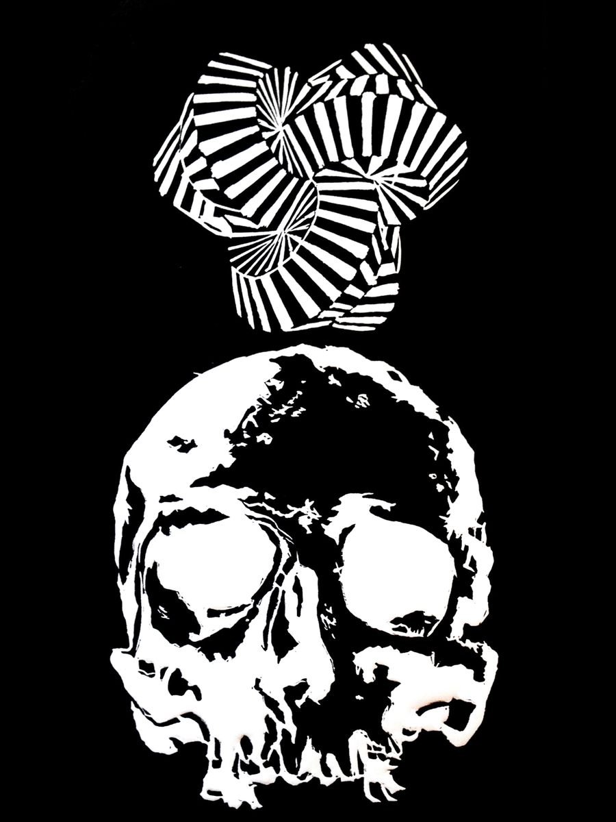 Skull 101 / 80x60 cm_ by Sasha