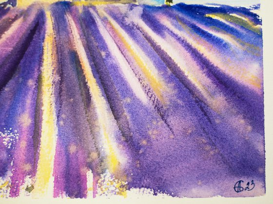 Lavender field in Provence. Medium watercolor pastel drawing bright colors France