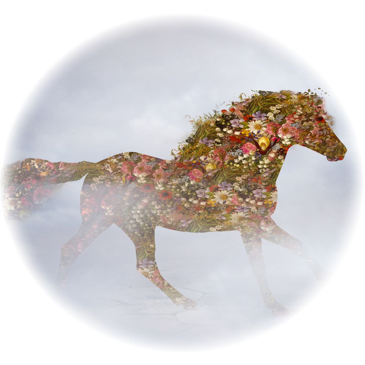 Illustrative Animal Photograph By Srdjan Jevtic, 39 X 39", Flower Horse, Original Artwork