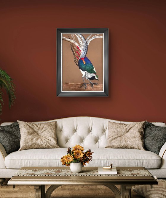 LADY AMHERST’S PHEASANT