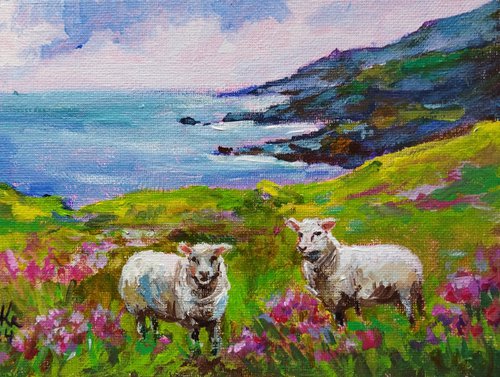 Scottish landscape, sheep on pasture by Ann Krasikova