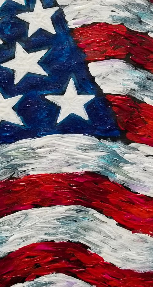 USA Flag by Galina Victoria