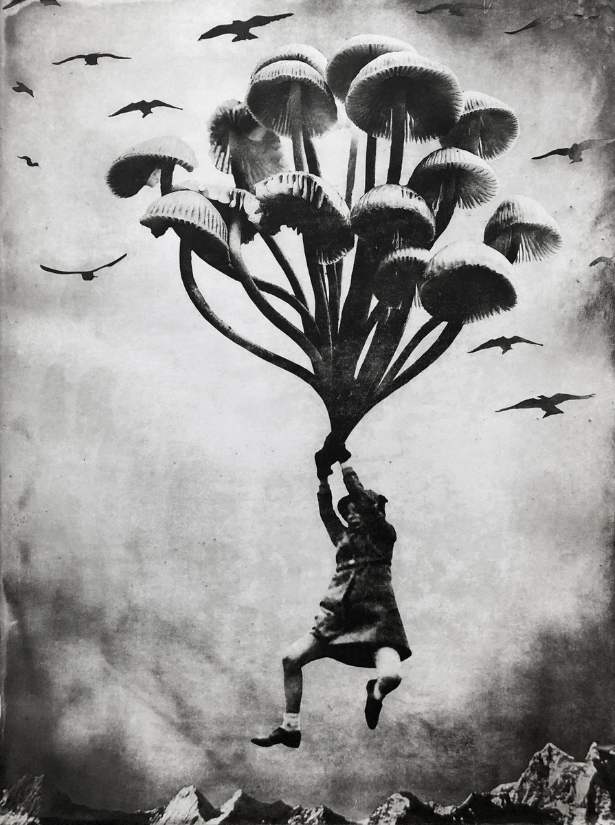 Surrealistic Botanical Etchings & Engravings By Jaco Putker, 20 X 26, The Girl And The Mushrooms, Original Artwork